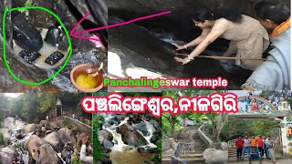 Panchalingeswar Temple Panchalingeswar Mandir Video NilagiriBalasoreOdishaIndia [upl. by Whale]