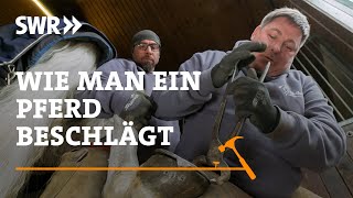 Wie man ein Pferd beschlägt  SWR Handwerkskunst [upl. by Ejrog]