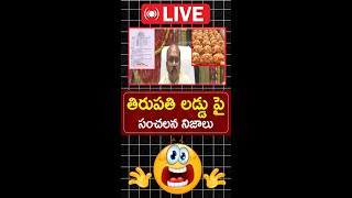 🔴LIVEAP Women Sensational Comments On Tirupati Laddu Issue  YS Jagan  CBN  PM Modi PC Political [upl. by Gnav]