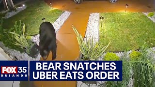 Bear steals Uber Eats order off Florida family’s front porch minutes after delivery [upl. by Dez]