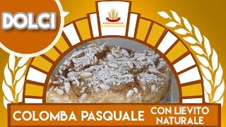 Colomba Pasquale con Lievito Naturale [upl. by Arun]