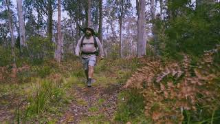 Manning River Barrington Tops State Forest [upl. by Assirt87]