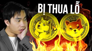 Tại sao bạn bị thua lỗ khi đầu tư vào Dogecoin và Shiba [upl. by Ajoop]