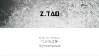 Ztao quotReluctantlyquot Lyrics English Translation [upl. by Ahsiled]