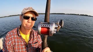 Catfishing with the Daiwa Saltist 40 [upl. by Seema]