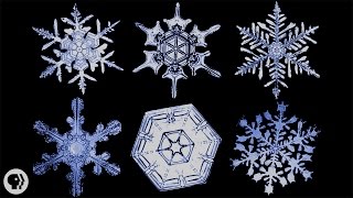 The Science of Snowflakes [upl. by Aihsela]