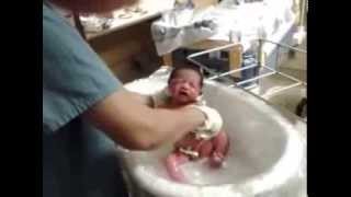 Just Born Babys first bath [upl. by Karlen]