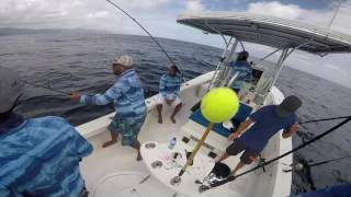 TTGFA 2016 Kingfish Tournament Champions  Team Possessed  Reel Tackle [upl. by Shulem605]