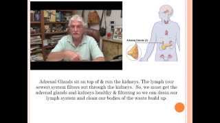 Hidradenitis Suppurativa HS  The Actual Cause amp How to Heal Cure It [upl. by Igal]