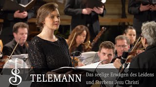 TELEMANN  Das seelige Erwägen des Leidens und Sterbens Jesu Christi [upl. by Skees]