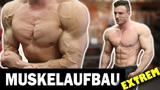 Das Beste 10 Minuten Brust Workout für Zuhause ohne Geräte [upl. by Ardiekal]