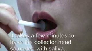 OralAQ Saliva Drug Test  How to [upl. by Lehcear]