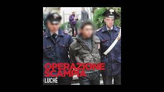 Luche  Operazione Scampia [upl. by Neumark219]