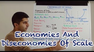 Y2 6 Economies and Diseconomies of Scale [upl. by Eelydnarb]