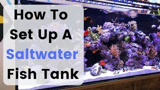 How To Set Up Build A Saltwater Fish Tank  Aquarium [upl. by Tse]