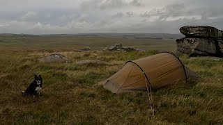 Wild Camping with my dog at Fox Tor on Dartmoor Hilleberg Nallo 2 [upl. by Eward]