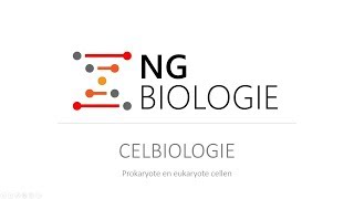 Celbiologie  prokaryote en eukaryote cellen  HAVOVWO [upl. by Ringsmuth310]