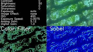 Elodea cell movement  microscope observation [upl. by Dragone]