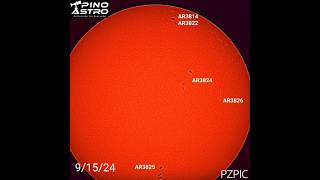 Daily Sunspots September 15 2024 91524 sun solar sunspots seestar solarobservation [upl. by Aitahs]