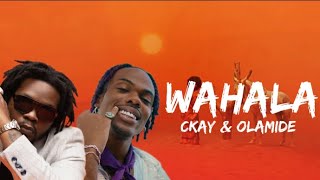 Ckay  Wahala feat Olamide lyrics video [upl. by Frank]