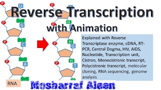‍রিভার্স ট্রান্সক্রিপশন কিভাবে RNA হতে DNA সৃষ্টি হয় [upl. by Rdnaskela]