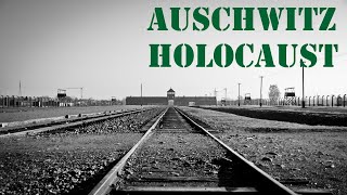 170 Zeugin Elise HeinischUtner im Frankfurter AuschwitzProzess 22101964 [upl. by Mathian]