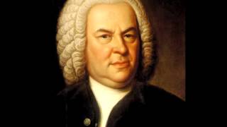 SCHAFE KÖNNEN SICHER WEIDEN  Aria from Cantata 208 Johann Sebastian BACH [upl. by Aikrahs]