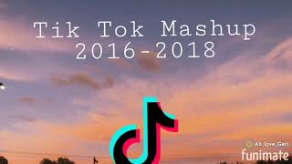 Tik Tok Mashup20162018 [upl. by Resa]