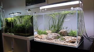 River Bottom Aquascape Tutorial  Easy Aquascape added to the Aquarium Gardens Showroom [upl. by Ongineb]