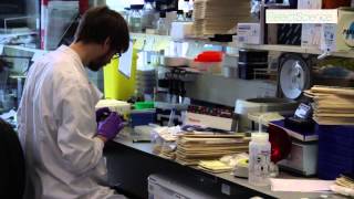 Extracellular Matrices Innovative Cancer Research at Beatson Institute [upl. by Filberte215]