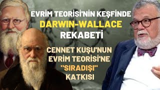 Evrim Teorisinin Keşfinde DarwinWallace Rekabeti [upl. by Chevalier]