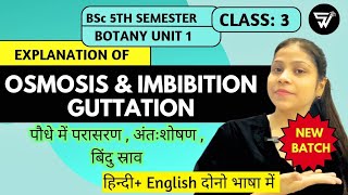 Osmosis Imbibition Guttation  Water Potential amp its components  BSc 5th Semester Botany [upl. by Einnol375]