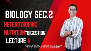 lecture 6 heterotrophic nutrition digestion and absorption of digested food  biology sec 2 [upl. by Reamy]