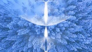 The Snow Lotus by Anilah  a winter element meditation [upl. by Autum]