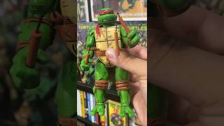 Adding a Few More TMNT Figures into the Collection [upl. by Yspyg]