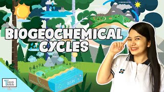 Biogeochemical Cycles  Biology [upl. by Navap130]