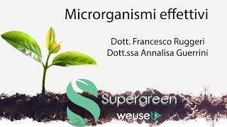 Microrganismi effettivi o efficaci EM  Cosa sono e a cosa servono  Lotta biologica con batteri [upl. by Bruis]