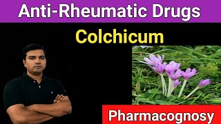 AntiRheumatic Drugs Colchicum pharmacognosy [upl. by Bollinger636]