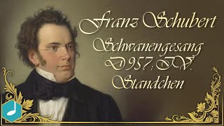 Franz Schubert  Schwanengesang D 957 IV Standchen [upl. by Franciska431]