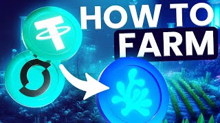 HOW TO FARM ON A DEX  MAGICSEA Tutorial [upl. by Atteuqahc339]