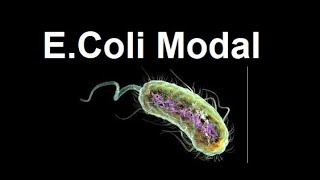 Escherichia coli E coli as modal organism  2024 [upl. by Alocin314]