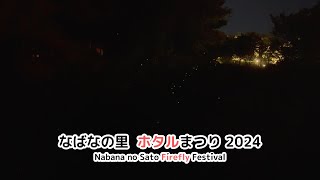 なばなの里 ホタルまつり2024  Nabana no Sato Firefly Festival [upl. by Animas]