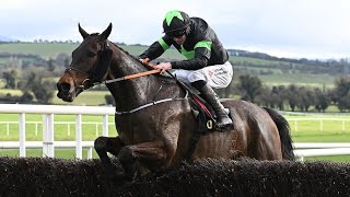 National contender Where it All Began looks good at Punchestown [upl. by Egdamlat73]