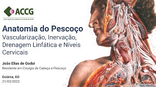 Anatomia do Pescoço Parte 2 Vascularização Inervação Drenagem Linfática e Níveis Cervicais [upl. by Ainimreh]