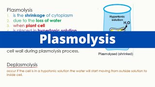 Plasmolysis  Deplasmoysis  Biology [upl. by Hinkel281]