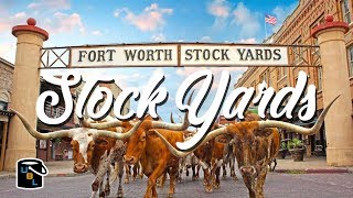 Fort Worth Stockyards  Cowboy Experience [upl. by Anyzratak]