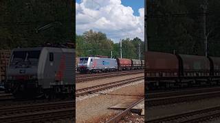 Pn44505 Cargo Traxx v Horním Dvořišti vlaky pozdrav cargo [upl. by Hawger827]