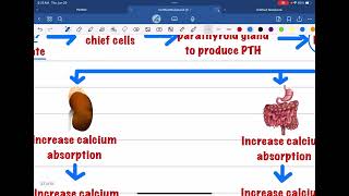 HYPOPARATHYROIDISM AND HYPERPARATHYROIDISM [upl. by Airotnes260]