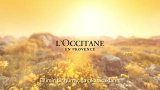 L’Occitane I Immortelle Reset Overnight Serum [upl. by Afital]