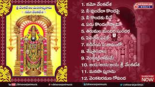 Sri Srinivasa Manasa Smarami  Namo Venkatesa  Lord Venkateswara Devotional Songs [upl. by Bish]